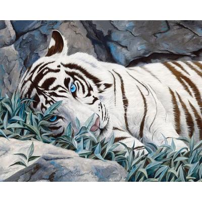 Раскраски немецкого тигра (49 фото)