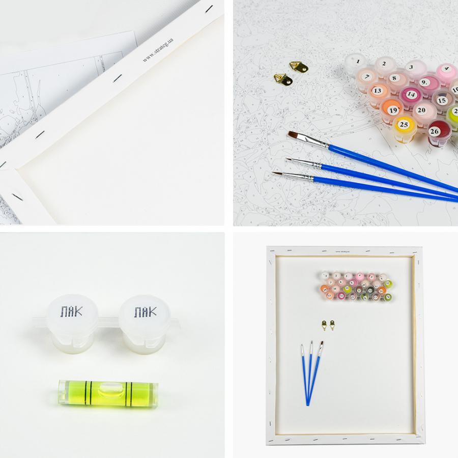 Купить КАРТИНА ПО НОМЕРАМ STRATEG ПРЕМИУМ ЦВЕТОЧНАЯ ФОТОСЕССИЯ С ЛАКОМ РАЗМЕРОМ 40Х50 СМ VA-3424_1