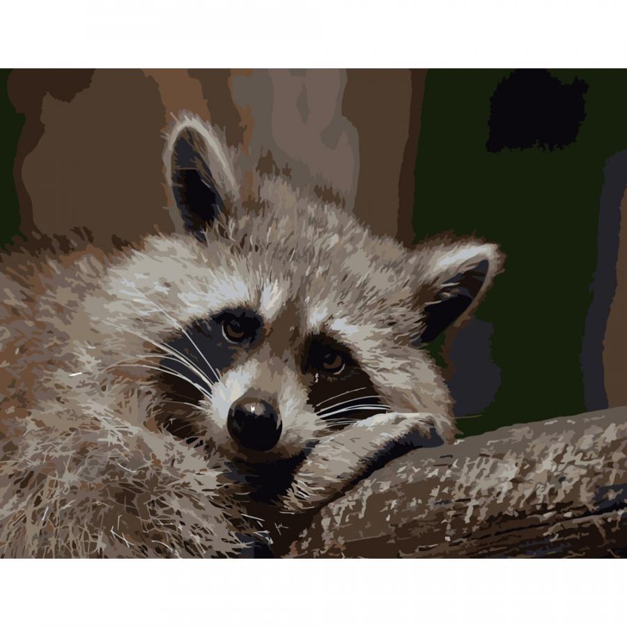 Купить КАРТИНА ПО НОМЕРАМ STRATEG ПРЕМИУМ ГРУСТНЫЙ ЕНОТИК РАЗМЕРОМ 40Х50 СМ (DY087) Купить КАРТИНА ПО НОМЕРАМ STRATEG ПРЕМИУМ ГРУСТНЫЙ ЕНОТИК РАЗМЕРОМ 40Х50 СМ (DY087)