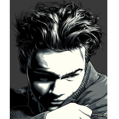 Придбати КАРТИНА ЗА НОМЕРАМИ STRATEG ПРЕМІУМ RIVER PHOENIX РОЗМІРОМ 40Х50 СМ (DY292)